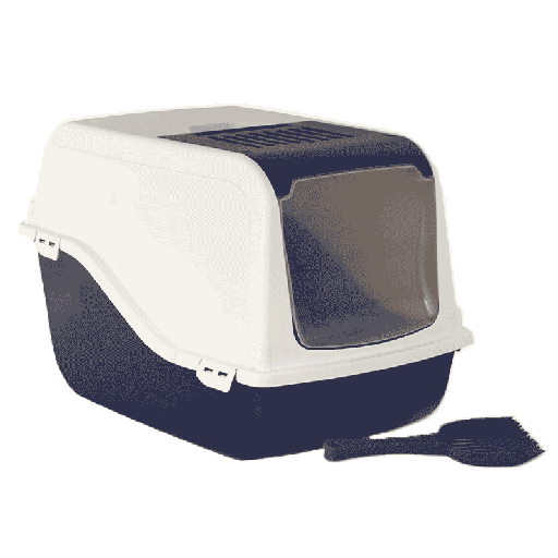 [toilette-ariel-top-free] Toilette Ariel Top Free