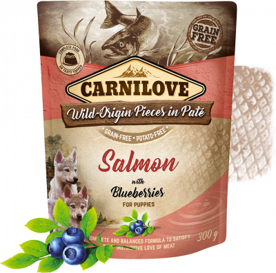 [carnilove-salmon-puppies-300g] Carnilove Salmon Puppies 300G