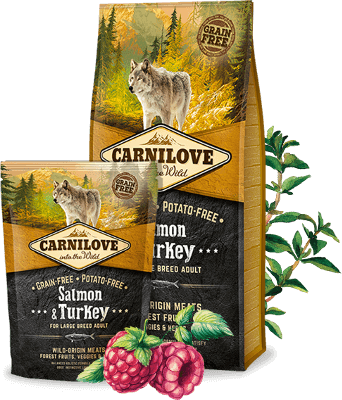 [carnilove-salmon-turkey-large-breed-adult-12kg] Carnilove Salmon & Turkey large breed adult 12Kg