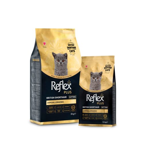 [reflex-plus-kitten-british-shorthair-poulet-1-5kg-casablanca] Reflex Plus Premium Kitten British Shorthair Poulet 1,5 Kg – Croquettes Chaton à Casablanca