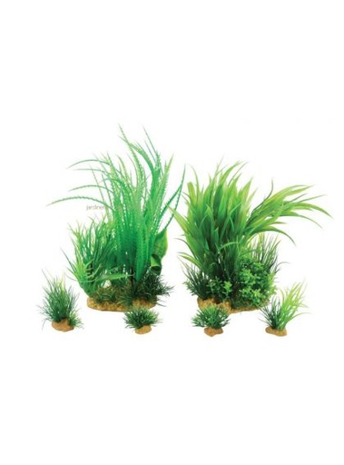 [PM-4754AF92E178] Kit Plantes Jalaya 1 Zolux