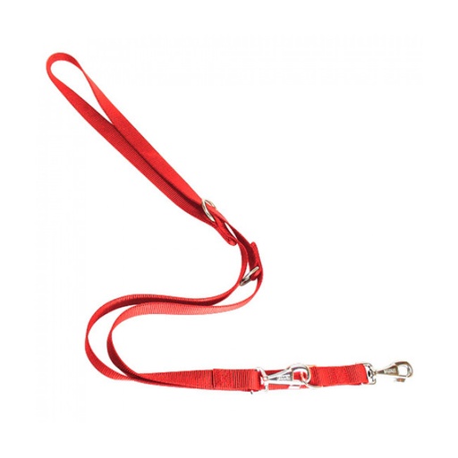 [PM-CCF8359E463A] Laisse multiposition nylon Freedog 2 m