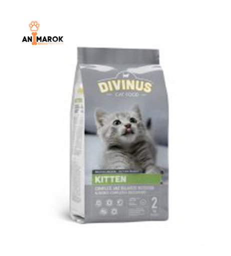 [AMR-21] DIVINUS Kitten