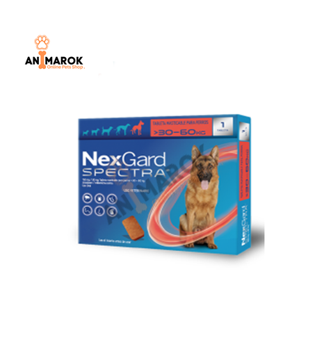 [AMR-41] NEXGARD Spectra  30