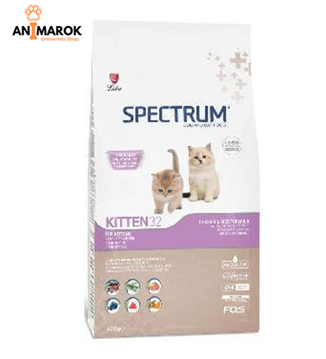 [AMR-259] SPECTRUM STARTER 32