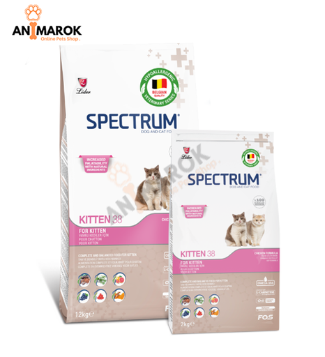 [AMR-260] SPECTRUM KITTEN 38 — 2KG