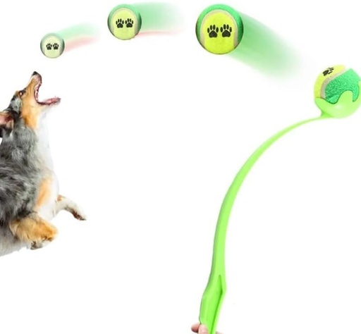 Lanceur de Balle pour Chien 