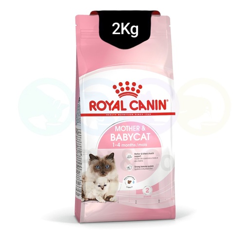 Royal canin Kibbles for Kittens & Pregnant Cats 2kg