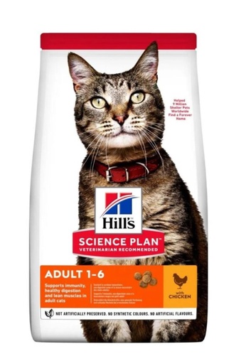 Adult 1-6
