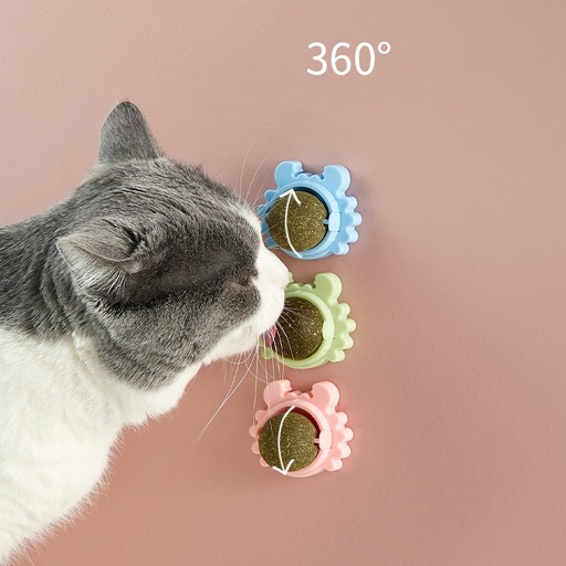 Boule d'herbe à chat