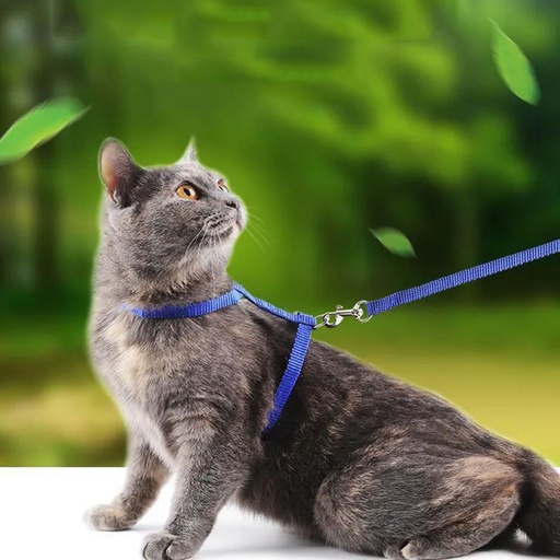 Harnais pour Chat Multicolor | Bleu | Rrose | Rouge | Noir - Bleu