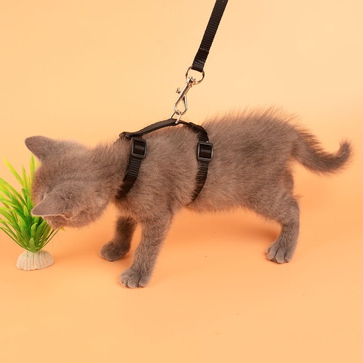 Harnais pour Chat Multicolor | Bleu | Rrose | Rouge | Noir - Noir