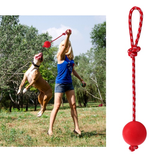 Lanceur de balle en caoutchouc solide pour chien